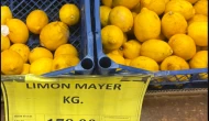 Limon neden pahalı?