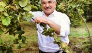 Ordu Belediye Başkanı Hilmi Güler: "Fındığın hamallığını yapıyoruz"