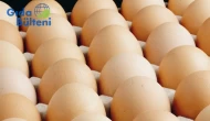 Yumurtada 1,5 dolarlık kesinti sona erdi