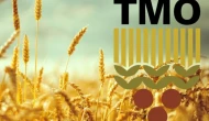 TMO 6 tedarikçiden ekmeklik buğday aldı