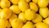 Üreticide 7 TL, markette 51 TL: Limonda fiyat farkı yüzde 633'e ulaştı