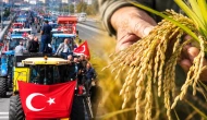 Çeltik alım fiyatı belli oldu; Üretici 55 TL istemişti TMO daha düşük fiyat açıkladı