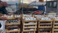 İstanbul Şile'de palamut 50 TL