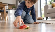 Yere düşen yiyecek 5 saniye içinde alınsa bile bakteri bulaşıyor mu?