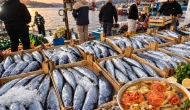 Palamutta "var yılı" etkisi; 2024 yılına göre yüzde 52 daha ucuz!
