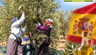 2 milyar avro cirolu İspanyol yağ devinden İzmir hamlesi