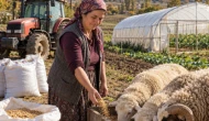 Belediyeden çiftçiye mazot ve gübre, kadın yetiştiriciye yem: desteği