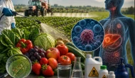 Görünmeyen tehlike büyüyor: Pestisitler kanser riskini katlayabilir!