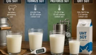 Peynir etiketinde yeni süt çeşidi; Termize süt.. Termize süt nedir?