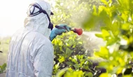 Pestisit alarmı: 'Gıdalarda kalıntı riski büyüyor'