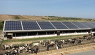 Tarım tesislerindeki GES'ler için yeni düzenleme: Gece elektriğine ödeme dönemi