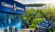 İş Bankası’ndan yaban mersinine büyük yatırım