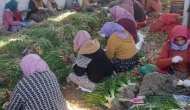 Dünya Çiftçiler Günü'nde çarpıcı tablo: Yol parası bile yok!