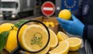 Eyvah, zehirli limonlar geri iade edildi; 30 kat yüksek pestisit içeriyor