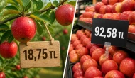 Tarlada 18 lira markette 92 lira! Meyve fiyatında yüzde 393 fark