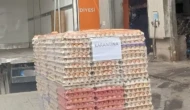 Organik yumurta hilesi baskınla ortaya çıktı