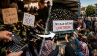 Taneyle satın alınan patlıcan 2 ay sonra bedava!