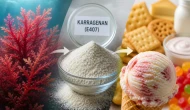 Doğal kıvam artırıcılar sağlıklı mı; Karragenan güvenli mi?