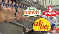 Denetim kayyumuna mahkemeden ret; 4 piliç firmasına kayyum atanmıyor