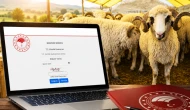 Kırsalda Bereket sonuçları açıklandı! 100 koyun desteğinde adı çıkanlar ne yapacak?