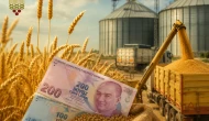 Buğday alım fiyatı açıklandı: Buğdayın kilosu 20 TL sınırında