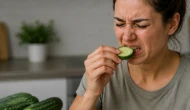 Salatalık neden acı olur? Acı salatalık yenir mi? Salatalığın kabuğu soyulmalı mı? Salatalık hakkında merak edilen her şey!