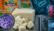 Listeria nedir, kırık beyaz peynirde listeria riski neden daha yüksek? Listeria bakterisine karşı hangi önlemler alınabilir?