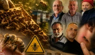 3 ayda arı sokmasından 5 kişi öldü; Arı soktuğunda ne yapmalı?