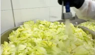 Marul nasıl yıkanır? Bakteri riskini azaltan en etkili yöntem hangisi?