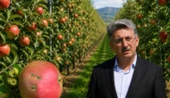 Ünlü elma üreticisinin pestisit isyanı: Elmayı ya lekeli yiyeceğiz ya da zehirli