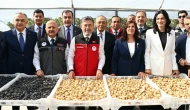 Türkiye incir üretiminde dünya birincisi: 2026’da 388 bin ton rekolte bekleniyor