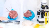 Protein oranı nasıl hesaplanıyor; Protein oranı en yüksek besinler neler?