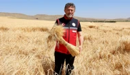 TMO’dan üreticiye 120 milyar TL ödeme: 11,5 milyon ton hububat alındı
