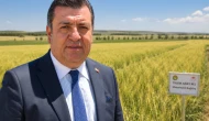 TİGEM Genel Müdürü açıkladı; "İklim değişikliği tohumların yüzde 40'ını değiştirdi"