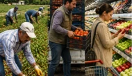 Gıdada alarm zilleri: Fiyatlar zirve yapıyor ve “stok yapın” uyarısı