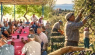 Korkulan oluyor; 10 gün boyunca zeytin toplanmayacak!