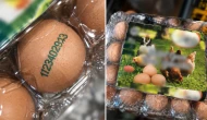 Markette yumurta aldatmacası; Kafes yumurtasına “gezen tavuk” kodu basmışlar!