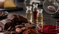 Kakao aromalarından 3’üne yasak, 2’sine sınırlı kullanım: Böcekten üretilen Karmin de yasaklandı mı?