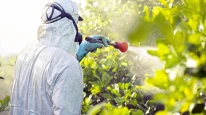 Bakanlık pestisit denetim sonuçlarını açıklayacak mı?
