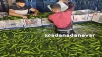 Mide bulandıran yıkama havuzu görüntülerine soruşturma
