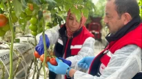 İşte Türkiye'yi pestisite boğan iller!
