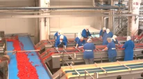 Merko Gıda, 2025 mali yılında net kârını yüzde 86 artırdı
