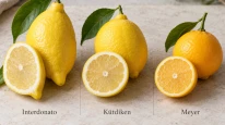 Hangi limonda daha fazla C vitamini var? Bakanlığın verilerinde yüzde 81 fark!