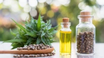 CBD yağı güvenli mi; faydaları neler? Kenevir yağı ile CBD yağı arasındaki fark..