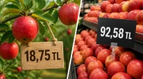 Tarlada 18 lira markette 92 lira! Meyve fiyatında yüzde 393 fark