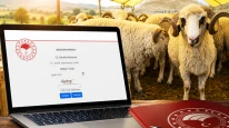 Kırsalda Bereket sonuçları açıklandı! 100 koyun desteğinde adı çıkanlar ne yapacak?