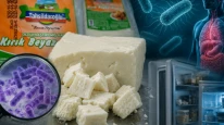 Listeria nedir, kırık beyaz peynirde listeria riski neden daha yüksek? Listeria bakterisine karşı hangi önlemler alınabilir?