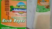 Tahsildaroğlu peynirde bakteri alarmı; Listeria hangi üründe saptandı?
