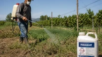 Pestisitte yeni dönem başladı: Tarım ilacı nasıl satın alacak?