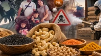 İthal kaju ve susamda sinir gazı saptandı; Böcek ailesi bu maddeden ölmüştü